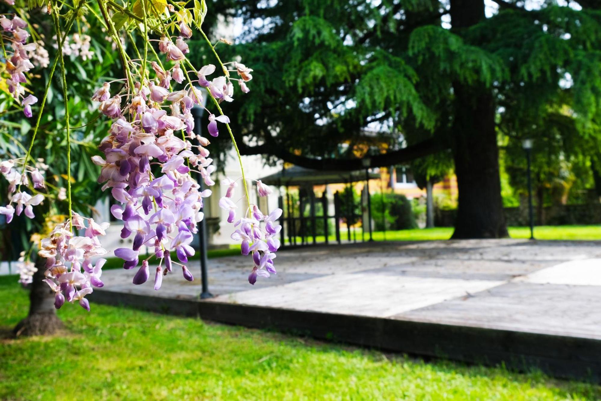 Hotel Villa Ca Damiani Caneva エクステリア 写真