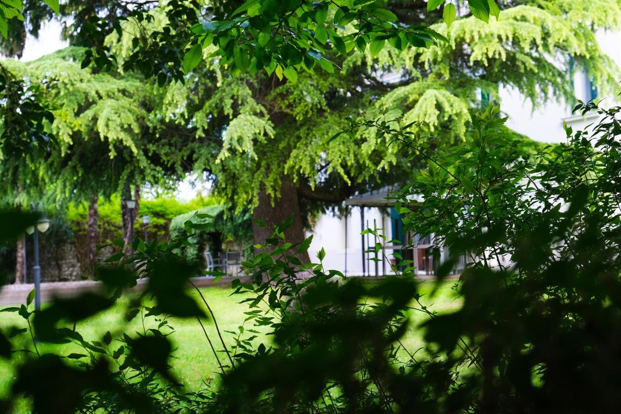 Hotel Villa Ca Damiani Caneva エクステリア 写真